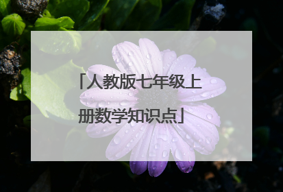 人教版七年级上册数学知识点