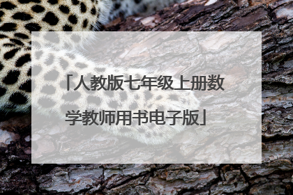 人教版七年级上册数学教师用书电子版