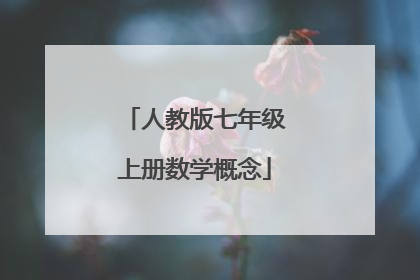 人教版七年级上册数学概念