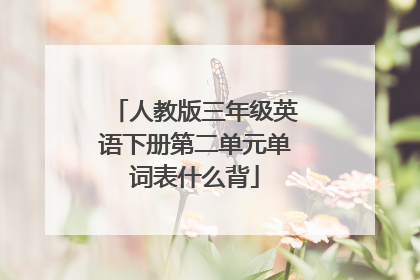 人教版三年级英语下册第二单元单词表什么背