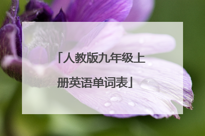 人教版九年级上册英语单词表