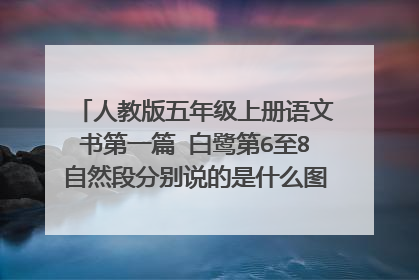 人教版五年级上册语文书第一篇 白鹭第6至8自然段分别说的是什么图和解说词和课后题该怎么写什么意思?