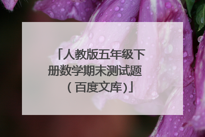 人教版五年级下册数学期末测试题 （百度文库)