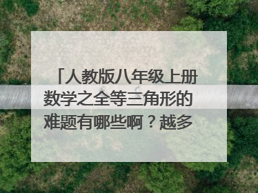 人教版八年级上册数学之全等三角形的难题有哪些啊？越多越好！！！
