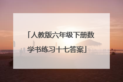 人教版六年级下册数学书练习十七答案