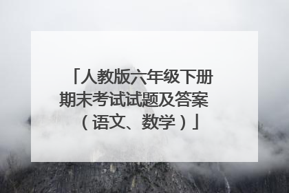 人教版六年级下册期末考试试题及答案（语文、数学）