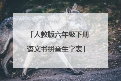 人教版六年级下册语文书拼音生字表