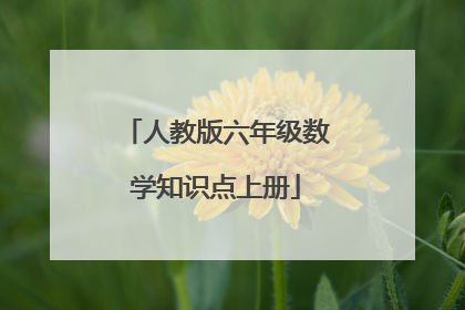 人教版六年级数学知识点上册