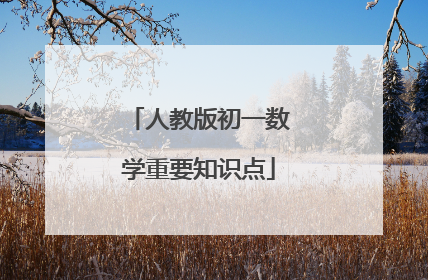 人教版初一数学重要知识点