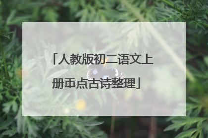 人教版初二语文上册重点古诗整理