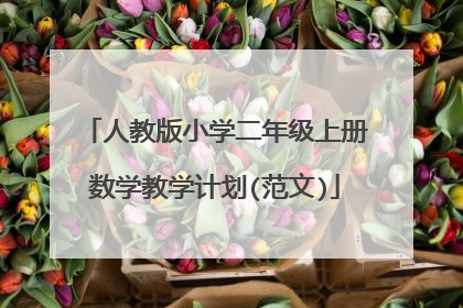 人教版小学二年级上册数学教学计划(范文)