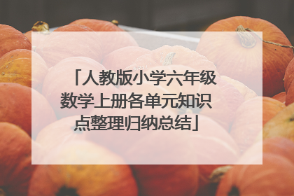 人教版小学六年级数学上册各单元知识点整理归纳总结