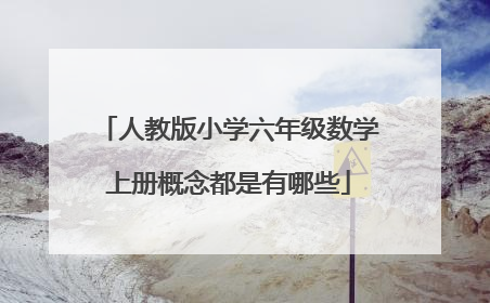 人教版小学六年级数学上册概念都是有哪些