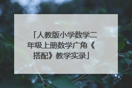 人教版小学数学二年级上册数学广角《搭配》教学实录