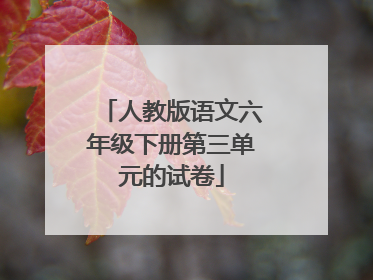人教版语文六年级下册第三单元的试卷