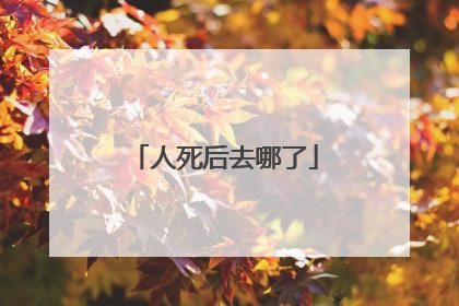 人死后去哪了