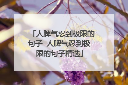人脾气忍到极限的句子 人脾气忍到极限的句子精选