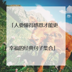 人要懂得感恩才能更幸福的经典句子集合