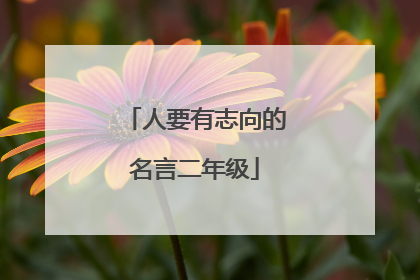 人要有志向的名言二年级