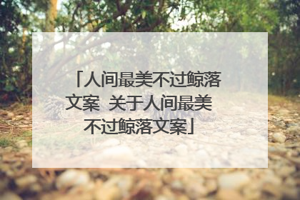 人间最美不过鲸落文案 关于人间最美不过鲸落文案