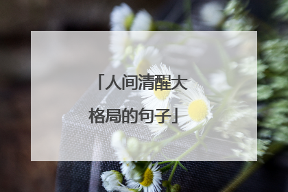 人间清醒大格局的句子