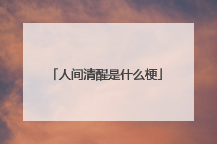 人间清醒是什么梗