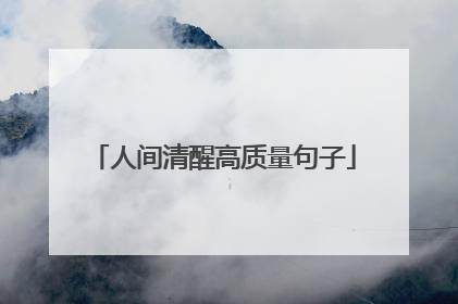 人间清醒高质量句子