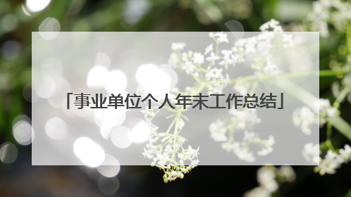 事业单位个人年末工作总结