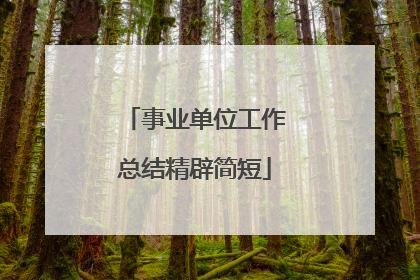 事业单位工作总结精辟简短