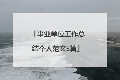 事业单位工作总结个人范文5篇