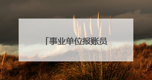 事业单位报账员个人工作总结