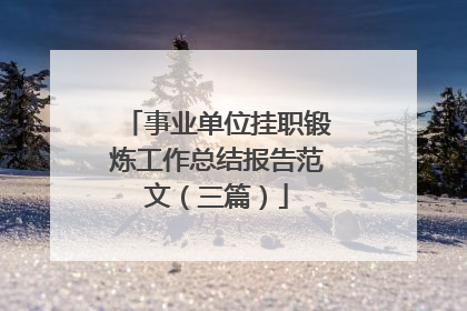 事业单位挂职锻炼工作总结报告范文（三篇）