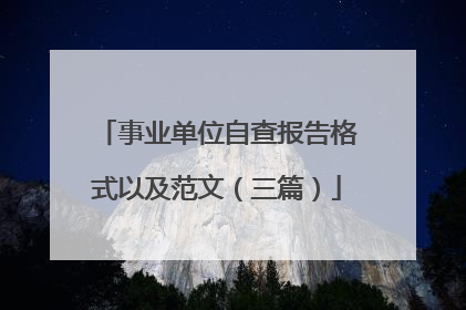 事业单位自查报告格式以及范文（三篇）