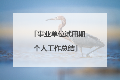 事业单位试用期个人工作总结