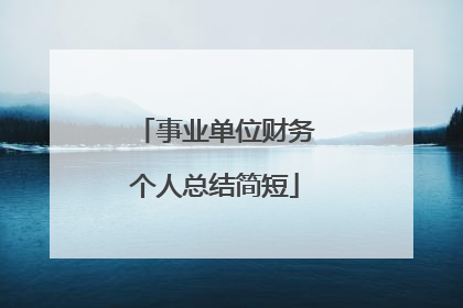事业单位财务个人总结简短