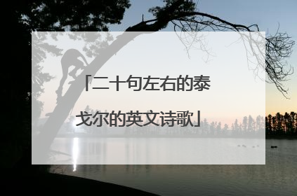 二十句左右的泰戈尔的英文诗歌