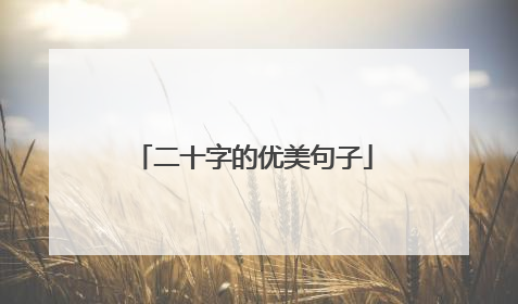 二十字的优美句子