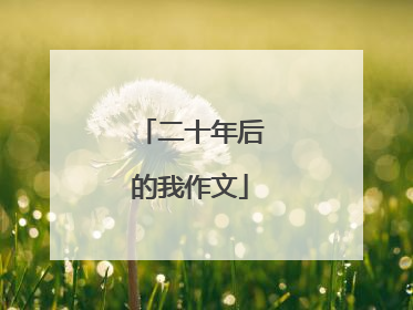 二十年后的我作文