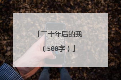 二十年后的我(500字)