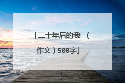 二十年后的我 (作文)500字