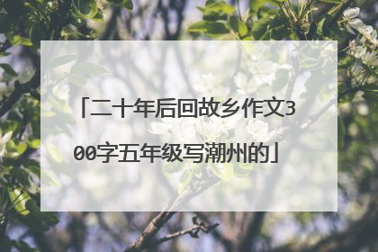 二十年后回故乡作文300字五年级写潮州的