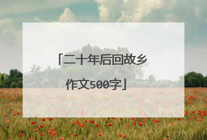 二十年后回故乡作文500字