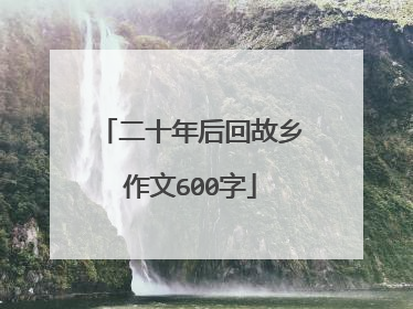 二十年后回故乡作文600字