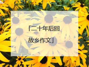 二十年后回故乡作文