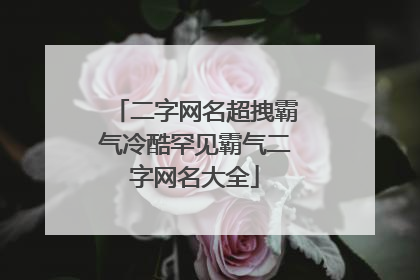 二字网名超拽霸气冷酷罕见霸气二字网名大全