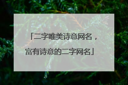 二字唯美诗意网名，富有诗意的二字网名