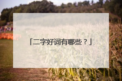 二字好词有哪些?