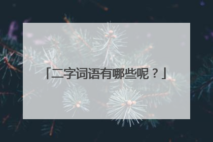 二字词语有哪些呢？