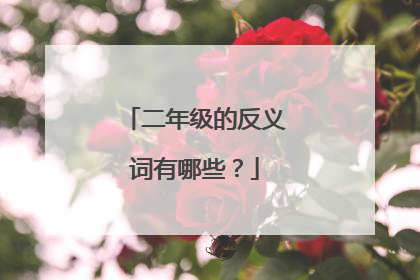 二年级的反义词有哪些?