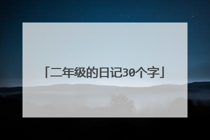 二年级的日记30个字